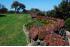 Flinders - 100 year old wall