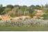 Kilcunda - gravel paths and planting