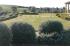 Kilcunda - lawns, stone feature and planting