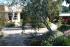 Mount Eliza - native garden and paving
