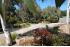 Mount Eliza - native garden and paving