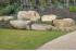 Red Hill - rocks and planting